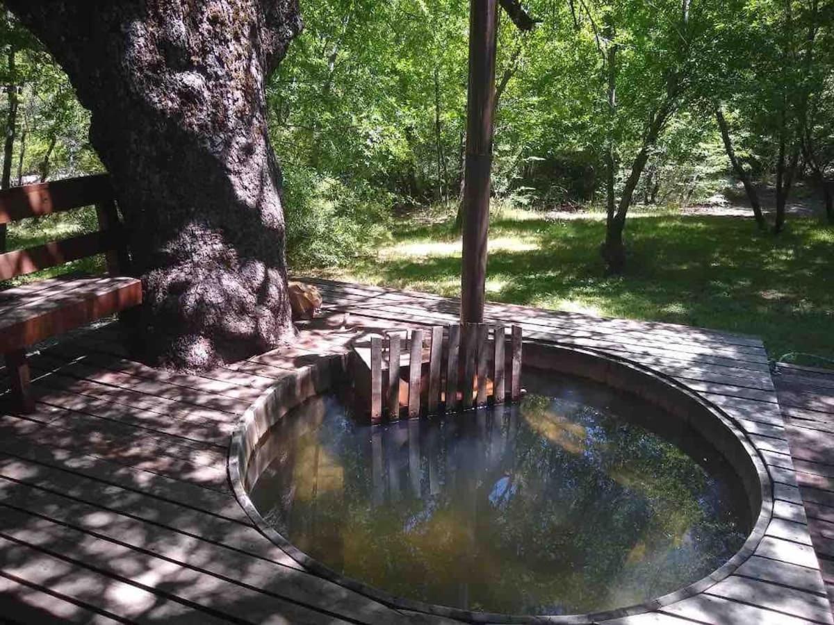 Agradable Casa Cerca De Las Termas De Chillan Las Trancas Bagian luar foto